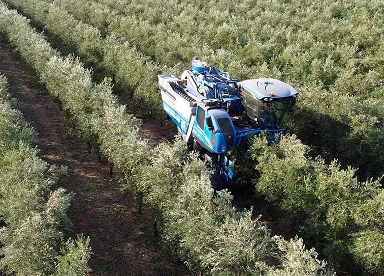 Isbilya  Smart harvesting: 
