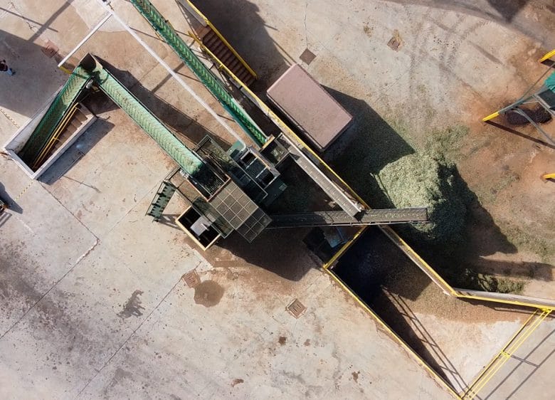 Isbilya Milling of the olive fruit: Optimum state.