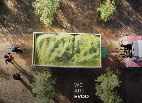 Nonconformity as a way to excellence.