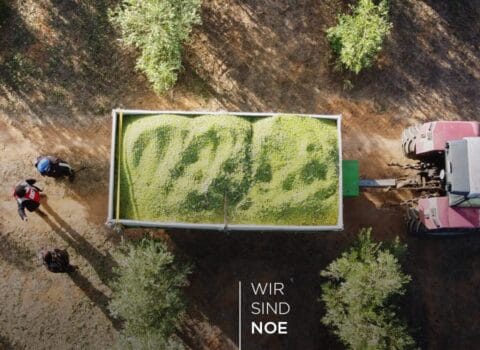 Nonkonformismus als Suche nach Exzellenz<br />
