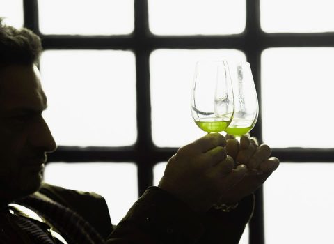 Personas catando aceite de oliva virgen extra Isbilya