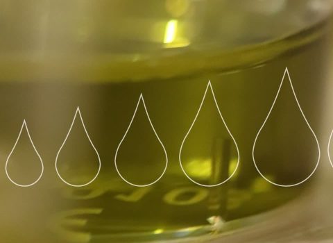 Subida del Precio del Aceite de Oliva: Causas y predicción del mercado | Isbilya