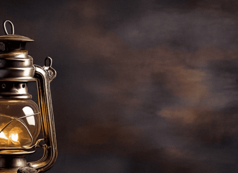 ¿Qué es el aceite de oliva virgen lampante Significado y Uso